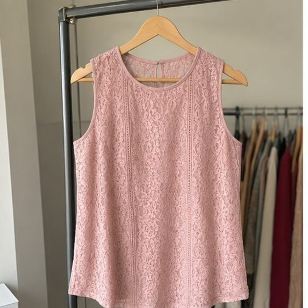 Blush Tunic Blouse